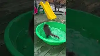 Что у него там в воде?