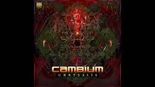Cambium - Chrysalis