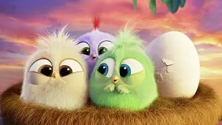 Angry birds but it´s just the Hatchlings