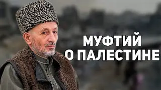 Муфтий РД о Палестине