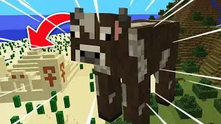 Minecraft Dar Cresti La Fiecare Minut !