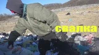 лазию на свалке