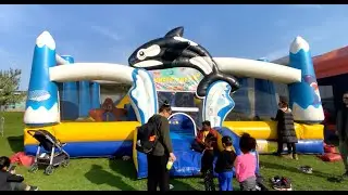 Under the Sea Adventure