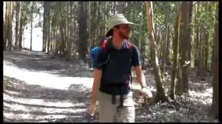 Happy (El Camino de Santiago Version)