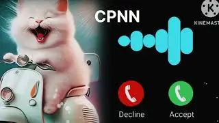 Message Ringtone Notification Ringtone//SMS Ringtone//Mgs Ringtone//Message Tone #ringtone​​​​🎶