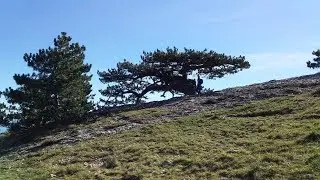 Поход на Ай-Петри от Гаспры. 29/10/2018