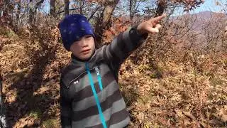 Горбуша. Пик Вербованных. Дальнегорск