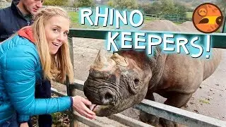 Rhino Keepers for a Day! | Maddie Moate