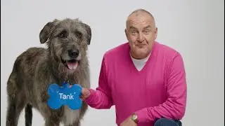 Epson EcoTank Printer | Many Kind of Tanks | 30sec
