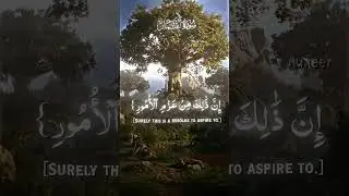يَا بُنَيَّ أَقِمِ الصَّلَاةَ وَأْمُرْ بِالْمَعْرُوفِ وَانْهَ عَنِ الْمُنكَرِ لقمان: 17