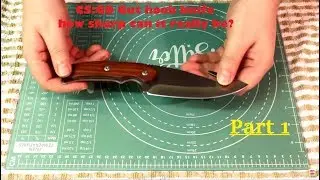 Can I Sharpen a ★ StatTrak™ Gut Knife sharpening (Part 1)
