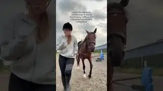 wie du deine reitstunde im besten fall nicht verlassen solltest😃