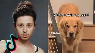 Funny TikTok's that actually Crack Me Up at 3AM