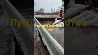 Лучшая работа в мире