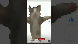 шни шна шнапи шнапи шнапи шнапи❤️🫶