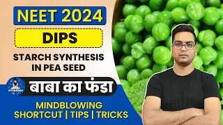 🚀NEET 2024 |NCERT Biology by Dr. Hariom Gangwar |बाबा का फंडा | STARCH SYNTHESIS IN PEA SEED