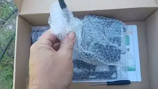 Hydroponic system for under $20