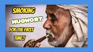 smoking mugwort (for the first time)