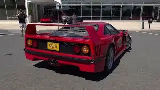 Ferrari F40                                                     #car #wow