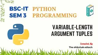Python : Variable-Length Argument Tuples 