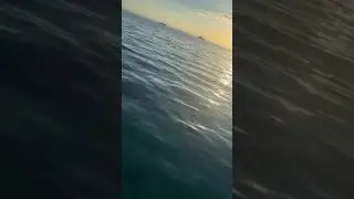 Подводный мир