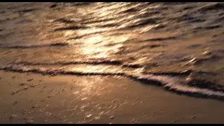 catching flies - daymarks (slowed)