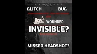 Rust Console Invisible Glitch 