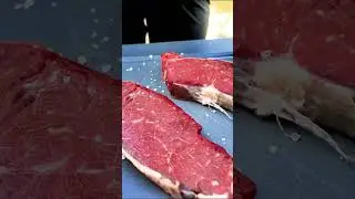 Какой гриль выбрать?