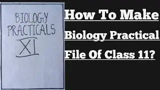 How to make Biology Practical file | Class 11 | Complete PDF