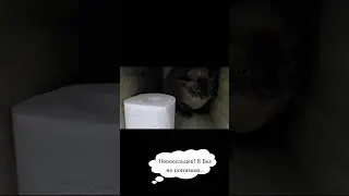 Новосельцев, Я не могу Вас понять!