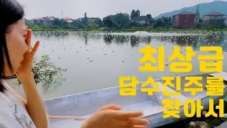 최상급 담수진주를 찾아서｜ 담수진주 양식장에 왔어요. #진주목걸이 #진주 #pear #해수진주