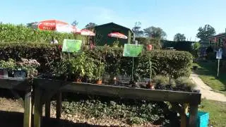 Fairhaven gardens