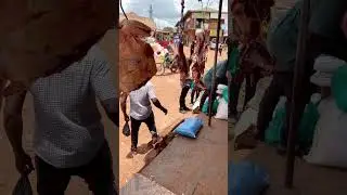 Please YouTube team,my video is not violating community guidelines 🙏🏿 am here for fun😊😉😋😂