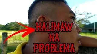 Halimaw na problema part 2 | Novy the creepy | Boss Yoko Tv
