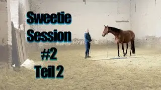 Sweetie Session #2 Part 2 - playful relationship building | Learning horse language