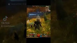 Killeen's Grave from the Ghosts of Ascalon in Guild Wars 2 - Guild Wars - Easter Egg