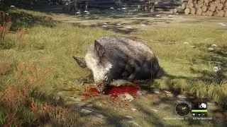 The hunter 1