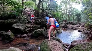 BANYAN TREE/BABAJI KI BOOTI || MUST SEE PLACES IN ARAMBOL GOA || NORTH GOA || GO GOA GONE