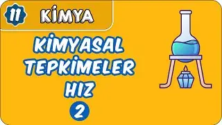 Kimyasal Tepkimeler Hız - 2 | 11. Sınıf Kimya