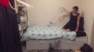 Parkour Cat / Flying cat / trampoline on the bed