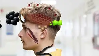 ASMR