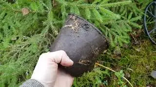 Холодная осень на немецких позициях
