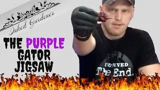 Eating a Purple Gator Jigsaw: The Pepper That Wrecks Your Insides