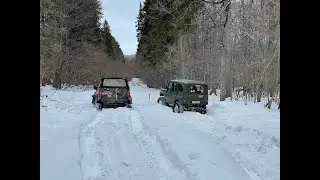 Осетровское 07.03.2022. Часть 2 Лес