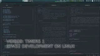 Timers and delay function | STM32 development on Linux | VIDEO 9