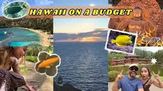 Exploring Oahu, Hawaii - Hanauma Bay | Makapu'u Lighthouse | Byodo-In Temple (Budget Edition)