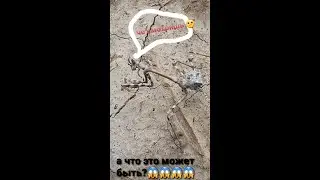 Махлуки номаълум!!