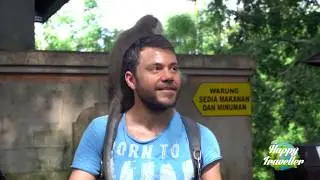 ΤΟ ΔΑΣΟΣ ΜΕ ΤΙΣ ΜΑΪΜΟΥΔΕΣ ΣΤΟ ΜΠΑΛΙ