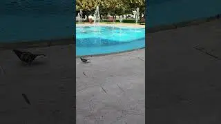 Fântână arteziană din centrul municipiului Târgu-Jiu, Gorj, România - short