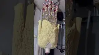 15 августа 2024 г.